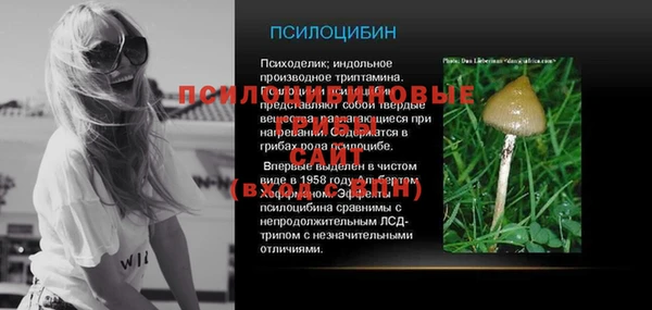 сатива Белокуриха