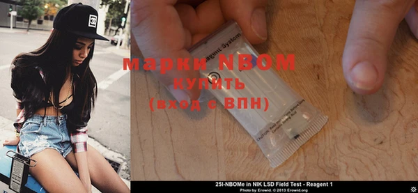сатива Белокуриха