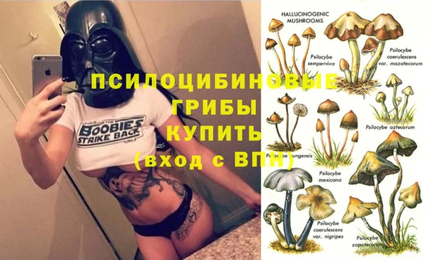 сатива Белокуриха