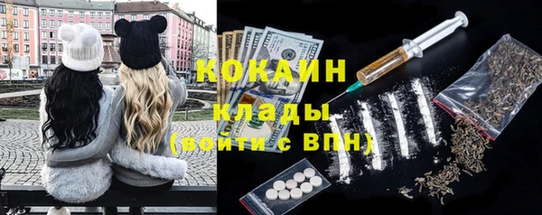 сатива Белокуриха