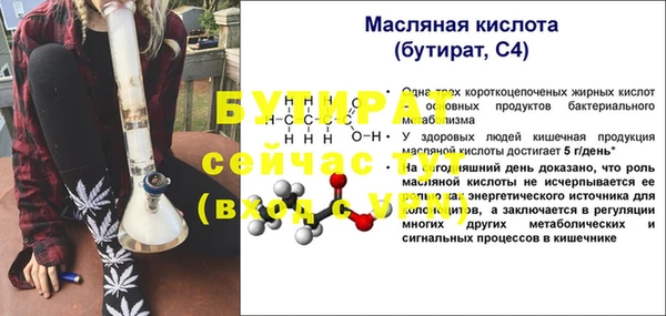 сатива Белокуриха