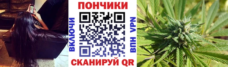 Шишки марихуана семена  Бородино 